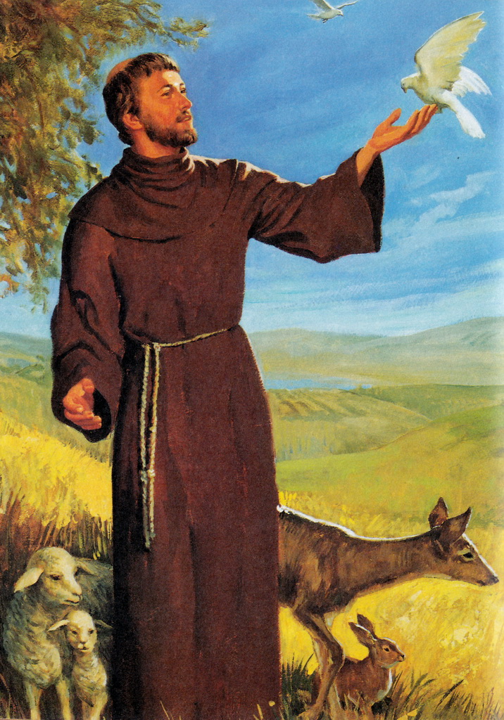 st.francis assisi