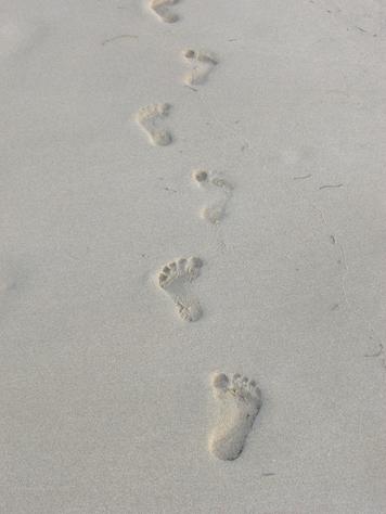 p224112-st._kitts-footprints_in_the_sand