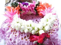 IMG_6552_resize.JPG