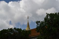 DSC_0081_resize.JPG