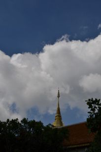 DSC_0082_resize.JPG