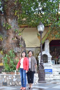 DSC_0084_resize.JPG