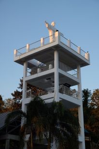 126.jpg